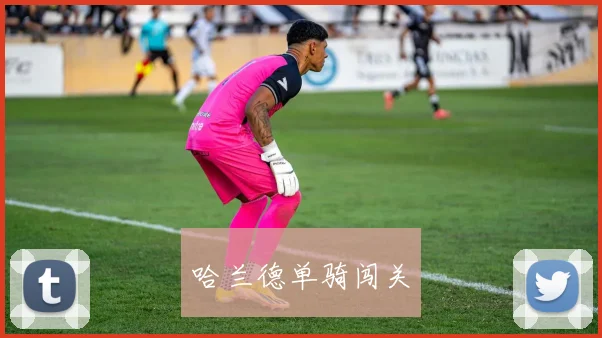 哈兰德单骑闯关