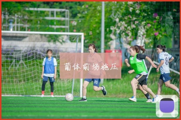 葡体前场施压