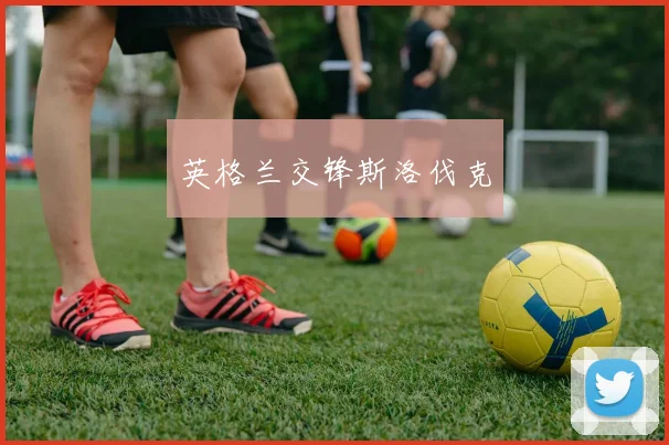 英格兰交锋斯洛伐克