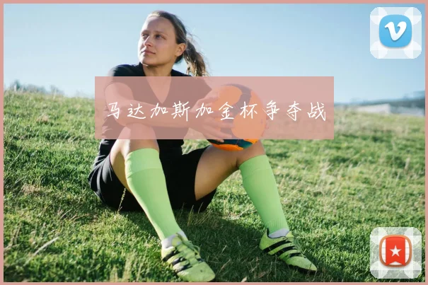 马达加斯加金杯争夺战