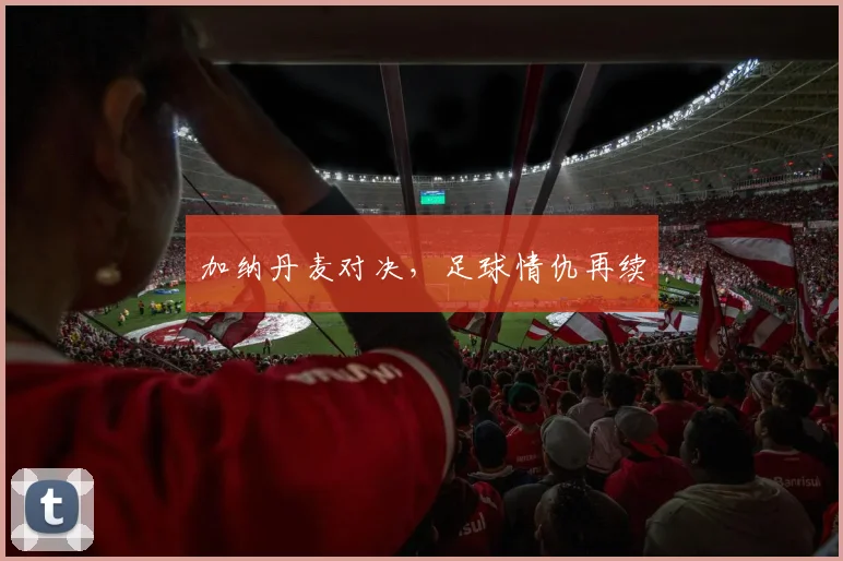 加纳丹麦对决，足球情仇再续