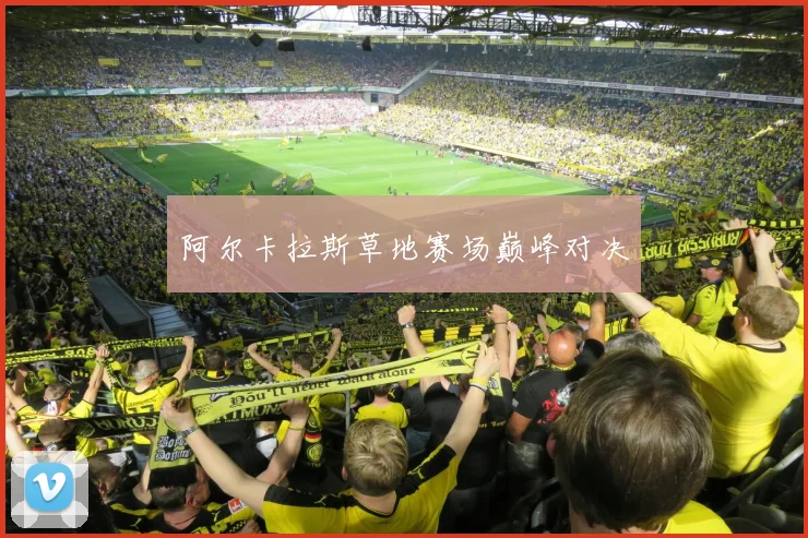 阿尔卡拉斯草地赛场巅峰对决