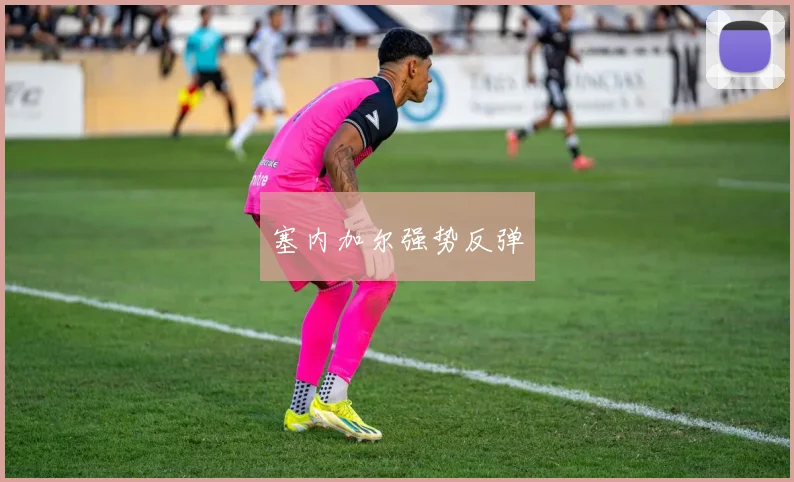塞内加尔强势反弹