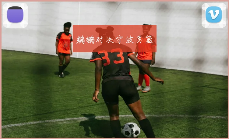 鹈鹕对决宁波男篮
