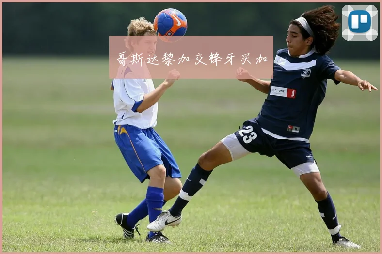 哥斯达黎加交锋牙买加
