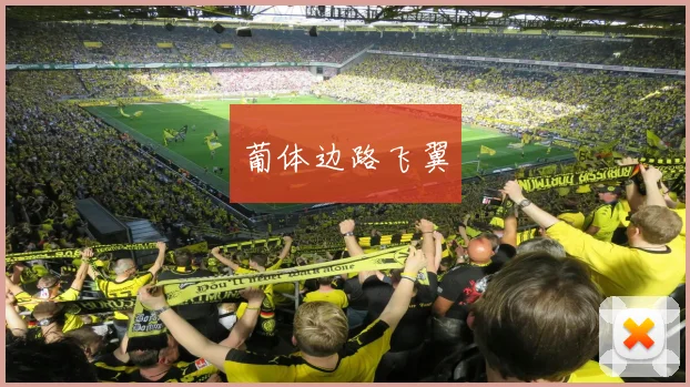 葡体边路飞翼