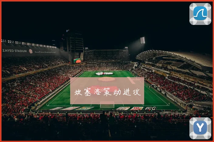 坎塞洛策动进攻