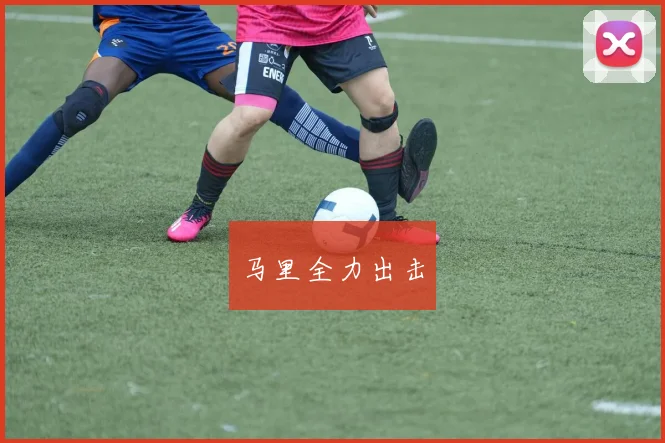 马里全力出击