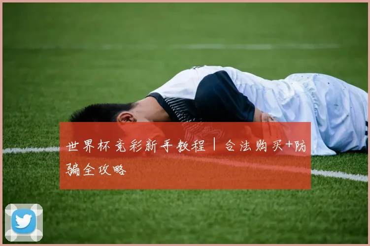 世界杯竞彩新手教程｜合法购买+防骗全攻略