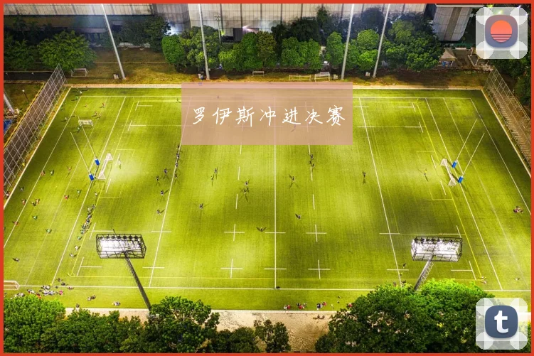 罗伊斯冲进决赛