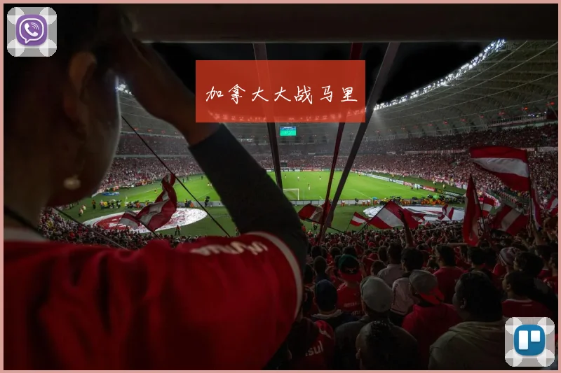 加拿大大战马里