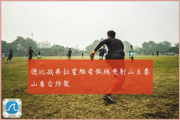 德比战弗拉霍维奇弧线兜射山东泰山看台炸裂