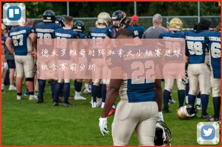 德米罗维奇对阵加拿大小组赛进球机会赛前分析