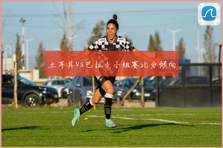 土耳其vs巴拉圭小组赛比分倾向
