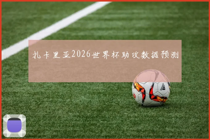 扎卡里亚2026世界杯助攻数据预测