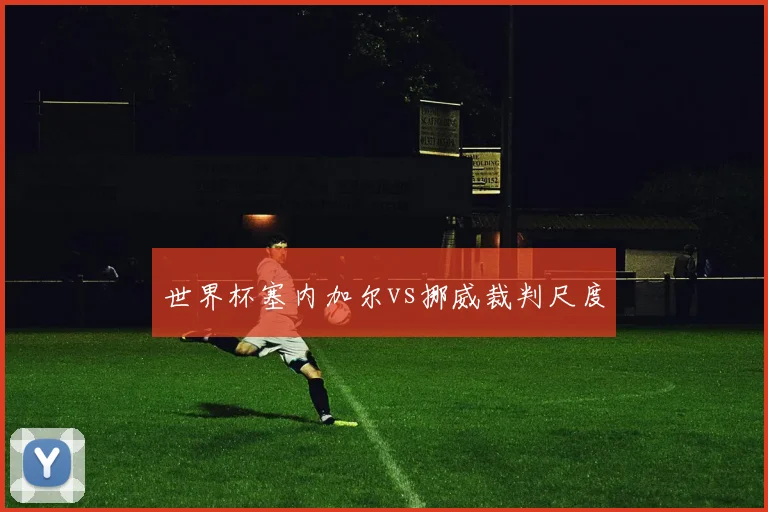 世界杯塞内加尔vs挪威裁判尺度
