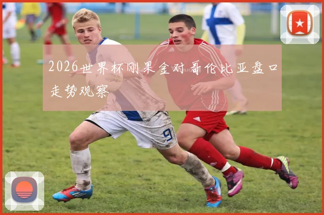 2026世界杯刚果金对哥伦比亚盘口走势观察