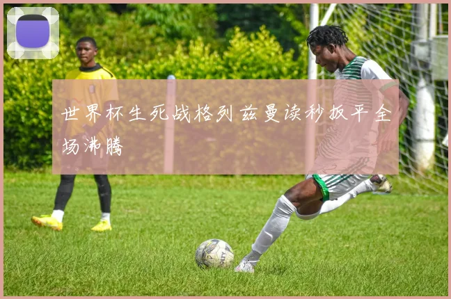 世界杯生死战格列兹曼读秒扳平全场沸腾