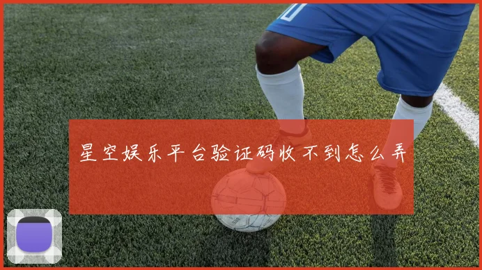 星空娱乐平台验证码收不到怎么弄